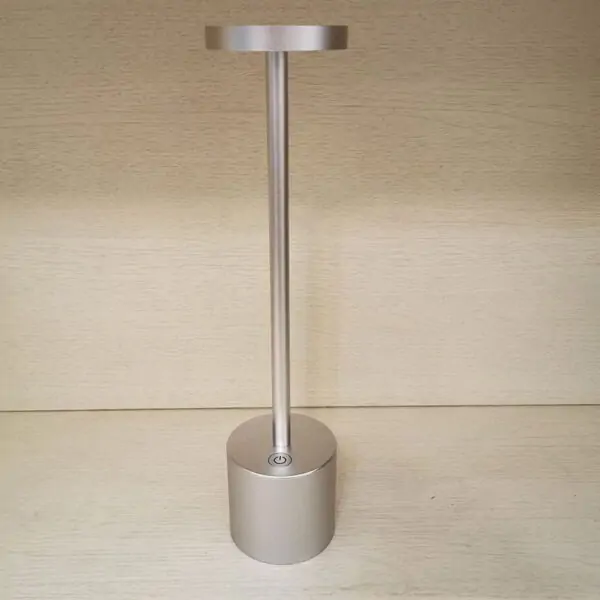 Professional cordless table lamp