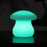 Mushroom Light
